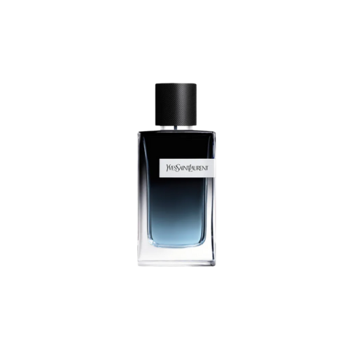 Ysl Y edp